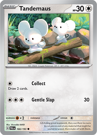 Karta Pokemon 166 193 Tandemaus [Paldea Evolved].JPG