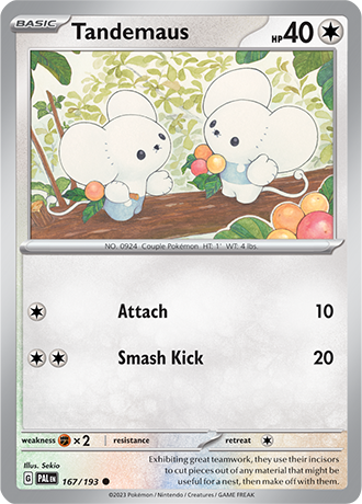 Karta Pokemon 167 193 Tandemaus [Paldea Evolved].JPG