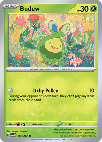 Karta Pokemon 016 217  Budew [Ascended Heroes].JPG