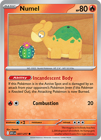 Karta Pokemon 027 217  Numel [Ascended Heroes].JPG