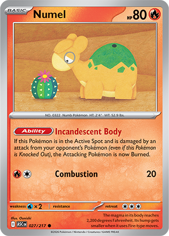 Karta Pokemon 027 217  Numel [Ascended Heroes].JPG