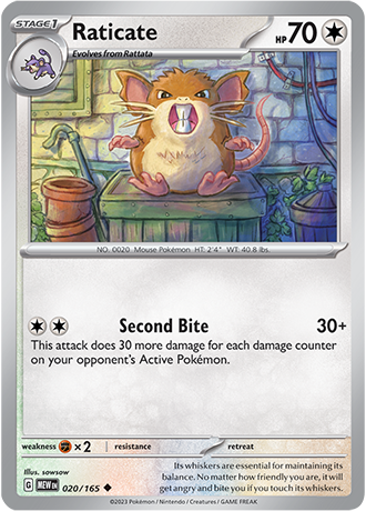 Karta Pokemon 020 165 Raticate [151].JPG