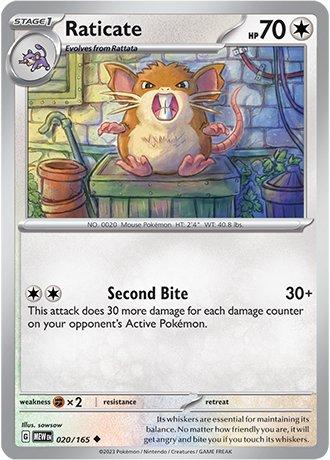 Karta Pokemon 020 165 Raticate [151].JPG