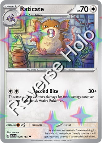 Karta Pokemon 020 165 Raticate [151] [Reverse Holo] .JPG