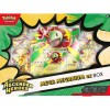Mega Meganium Ex Box (Karty Pokemon TCG) front.jpg